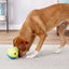 Nina Ottosson Outward Hound Treat Tumble