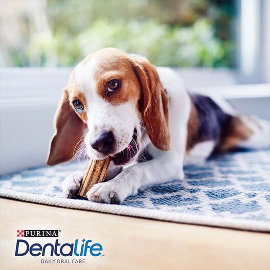 Purina Dentalife Perros Razas Pequeñas