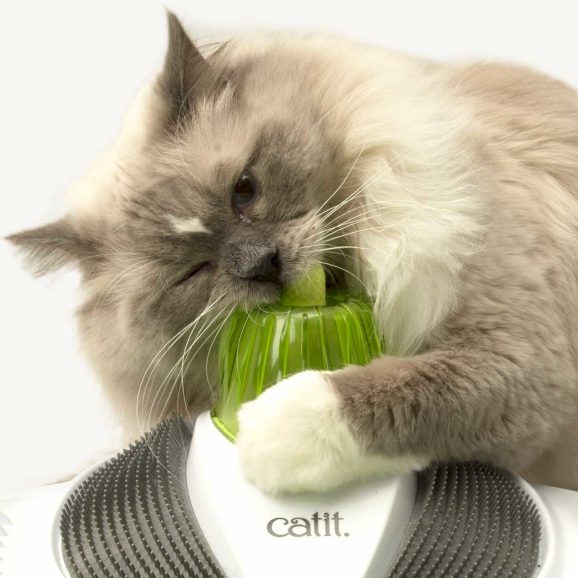 Catit Senses 2.0 Wellness Center Gatos