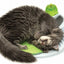 Catit Senses 2.0 Wellness Center Gatos