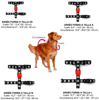 Zee Dog Fritz H-harness