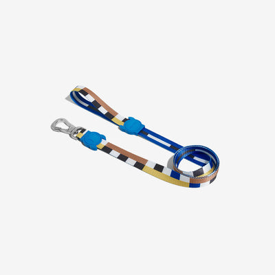 Zee Dog Blocks Dog Leash