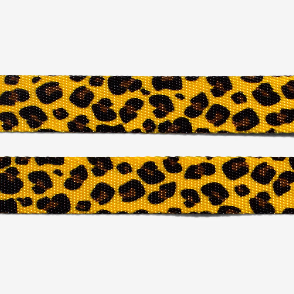Zee Dog Honey Leash