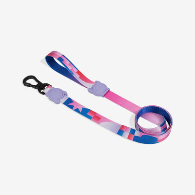 Zee Dog Noon Leash