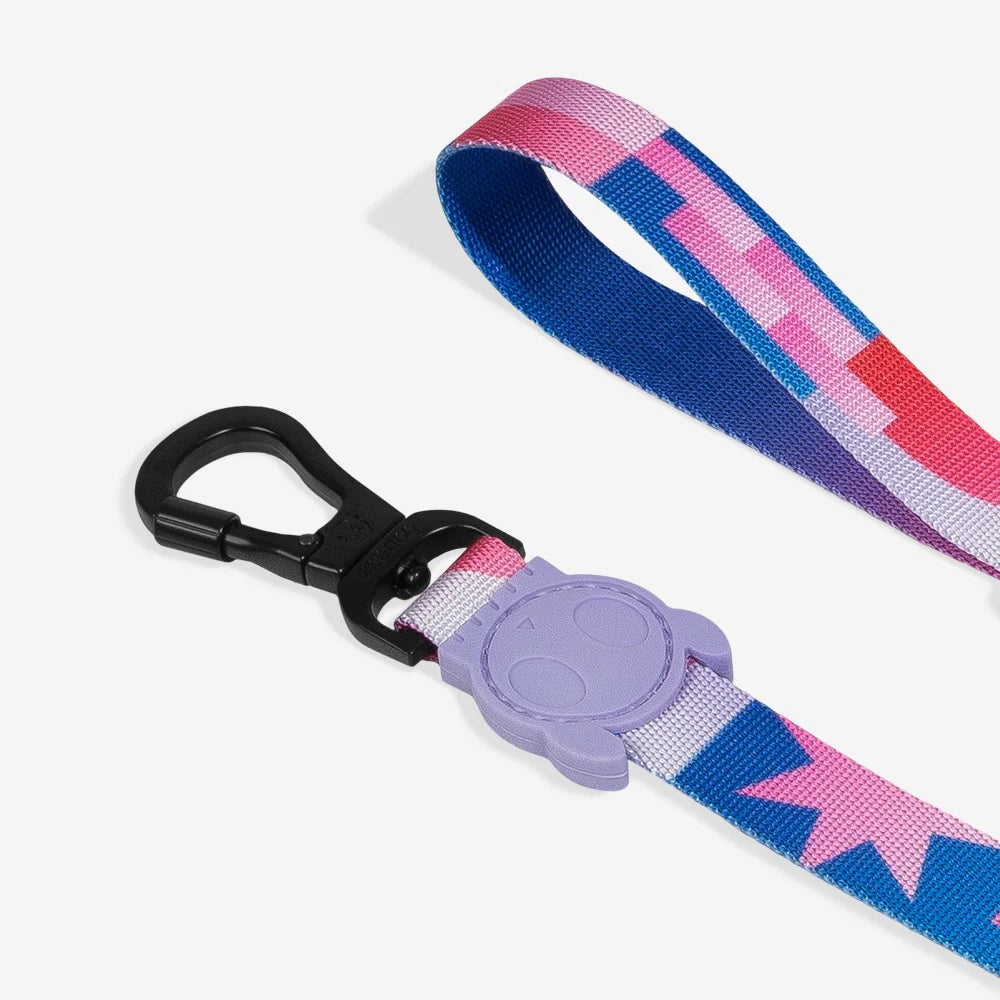 Zee Dog Noon Leash