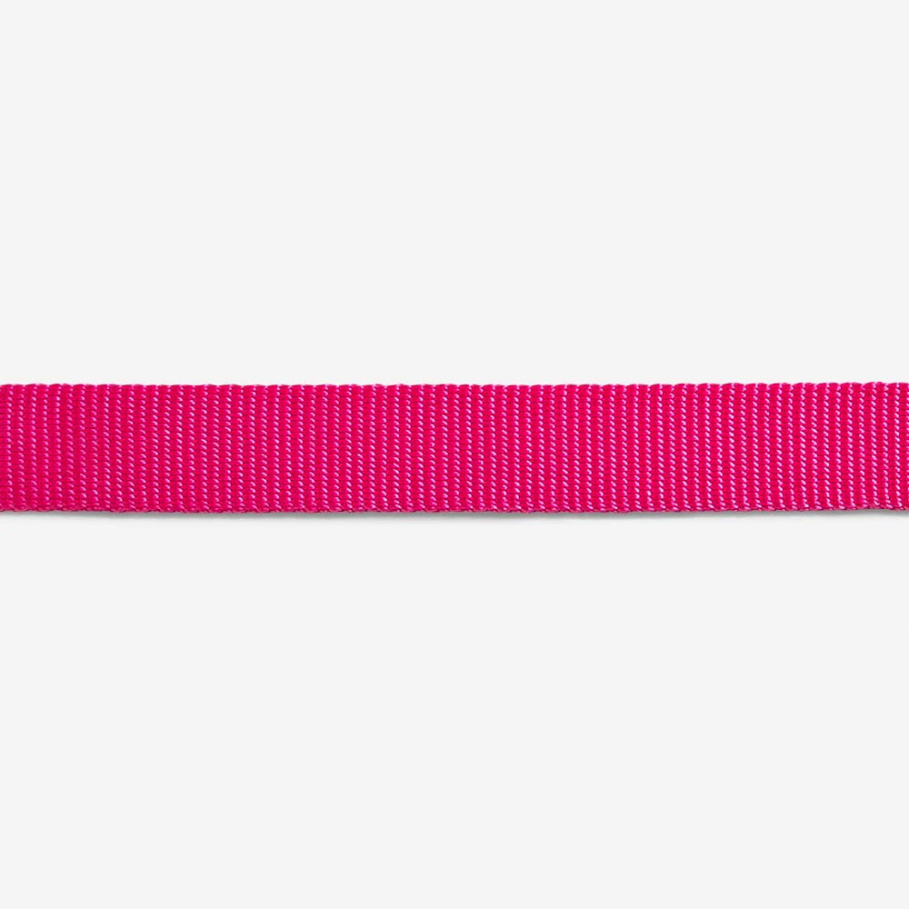 Zee Dog Pink Led Leash